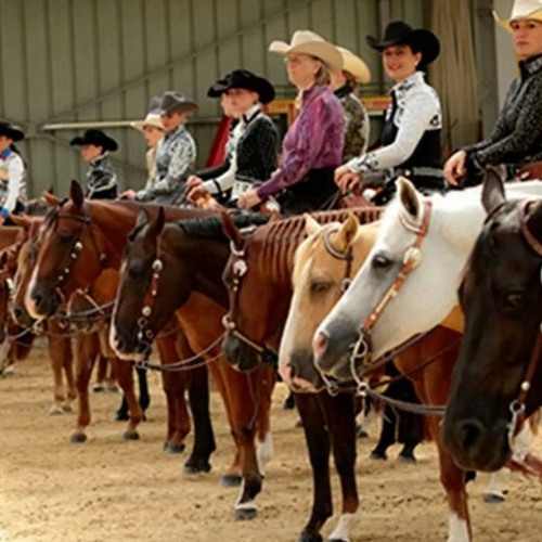 Aqha Youth World Show 2025 Live Stream Dynah Stacie