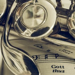 Flute Concerto