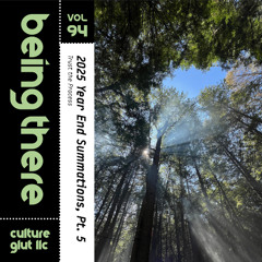 BEING THERE Vol. 94 - 2025 Year End Summations, Pt. 5: Trust the Process