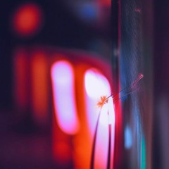 ◼️狂人のお芝居／環境音有り／柊佳祐