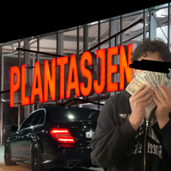 PLANTASJEN 2