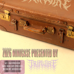 TR!PWIRE m!niCASE 2026