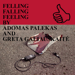 FELLING FALLING FEELING BY ADOMAS PALEKAS AND GRETA GALIAUSKAITĖ