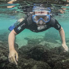 Best Can You Snorkel In Madeira Prices Reviews