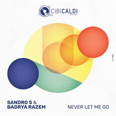 NEVER LET ME GO - Sandro S & Badrya Razem (audio - Lab.it) Master