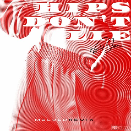 WYCLEF JEAN - HIPS DON´T LIE (MALULO REMIX)