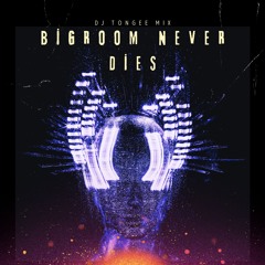 Bigroom Never Dies Festival mix 2024 By DJ TONGEE
