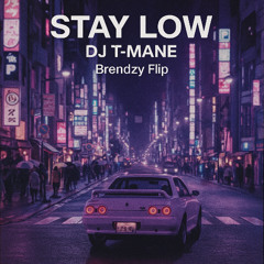 DJ T-MANE - STAY LOW (Brendzy Flip)