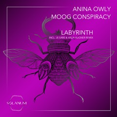 Anina Owly & Moog Conspiracy - Labyrinth (Original Mix) Snippet