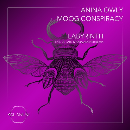 Anina Owly & Moog Conspiracy - Labyrinth (Original Mix) Snippet