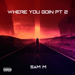 Sam M - Where You Goin Pt. 2