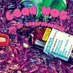 LEAN NOT ON UR UNDERSTANDING