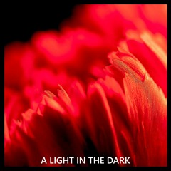 A Light In The Dark (Original Mix)