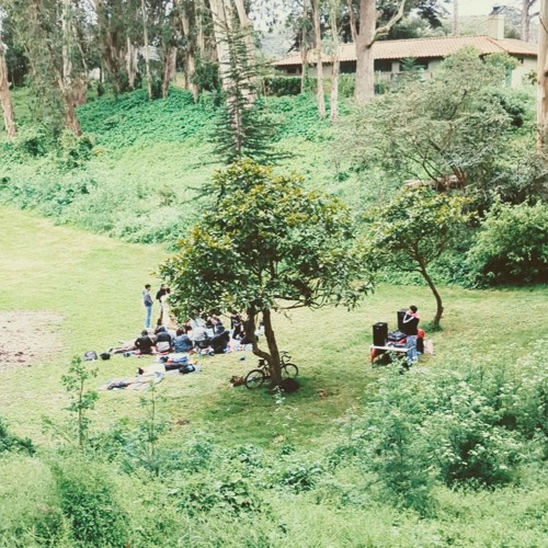Luupy Golden Gate Park Mix (160 breaks and techno) 5-18-24
