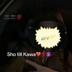 Kawahsaki - Rasta dig.m4a