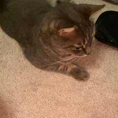 to Author (from vjet).wav