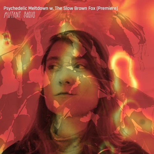 Listen to Psychedelic Meltdown w. The Slow Brown Fox [Premiere