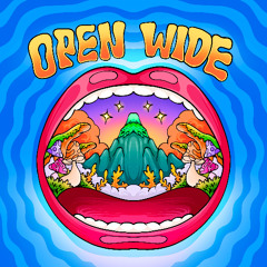 Open Wide
