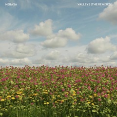 Nebasa & Robert Trevor- A Thousand Miles (Postcard Remix)