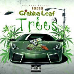 BOBO Dee- Grab A Leaf