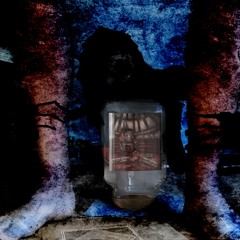 20 ЛЕТ БЕЗ СЕКИСА