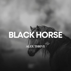 Black Horse (Chris Stapleton Country Folk Type Beat )
