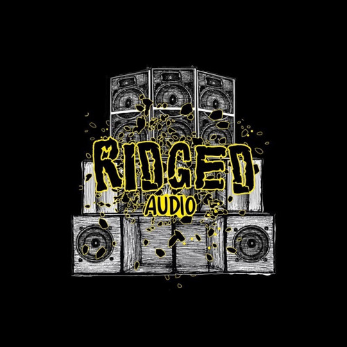 Flumadiddle - Ridged Audio Residency Mix