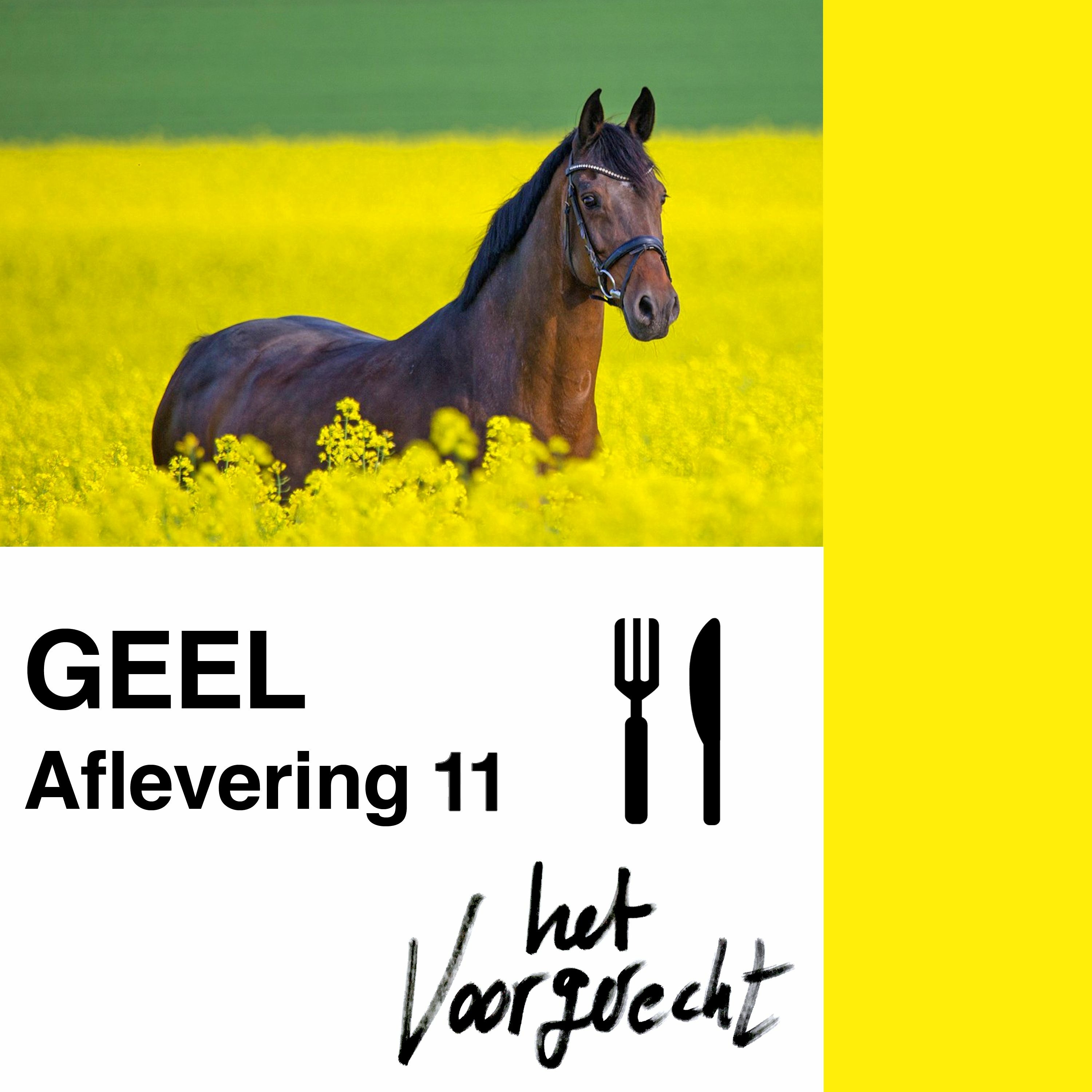 GEEL