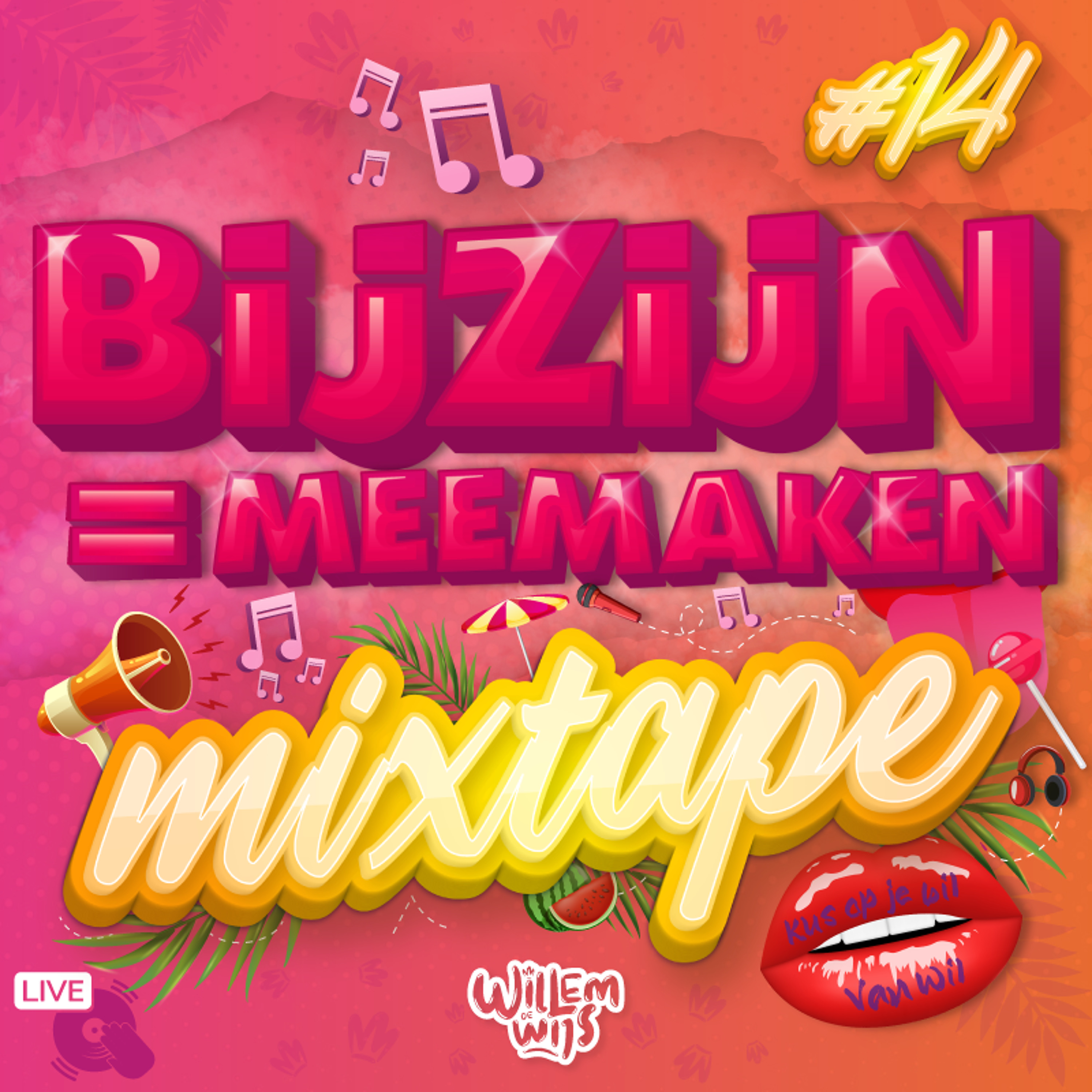 DJ Willem de Wijs
