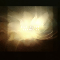 Diaphanous Dreamcoats