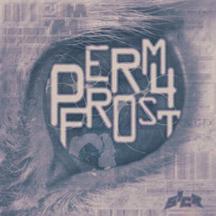 PERM4FR0ST //(freezing to death in outer space)