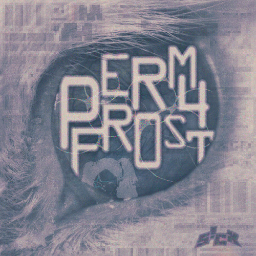 PERM4FR0ST //(freezing to death in outer space)