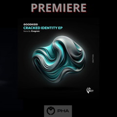 PREMIERE: goodkidd - Cracked Identity (Evegrem Remix) [SINCITY]
