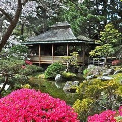 Japanese Tea Garden