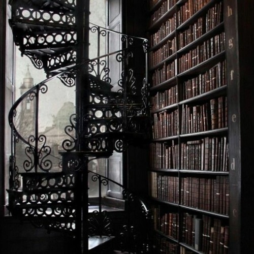 Crying In An Old Library On A Rainy Day (dark Academia)