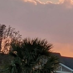 Sounds from Thursday morning 🌄. Voice wasn't as good. But I failed at making whatever I was trying to put together. Enjoy I guess.😐🤩😎🥸😁