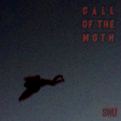 CALL OF THE MOTH