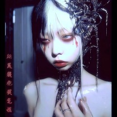GHOST IN THE SHELL