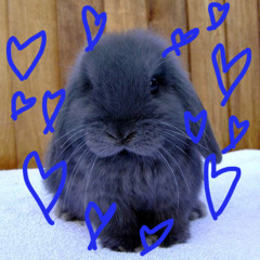 somebunny to love <3