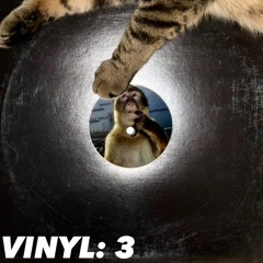 Vinyl: 3
