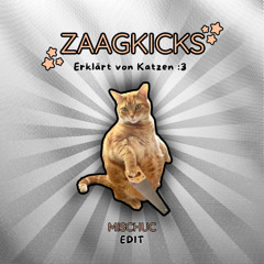 Snake16 - ZAAGKICKS (ERKLÄRT VON KATZEN) (MISCHUC Edit)