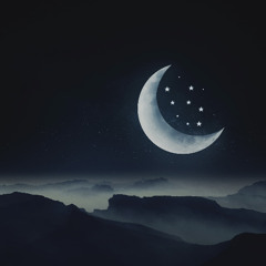 Moonlit Reverie