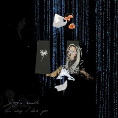 The Way I Love You (Radio Edit)