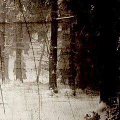 MIDNIGHT DUB (PROD.  HILOKALON)