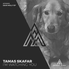 Tamas Skafar - I M Watching You (original Mix)