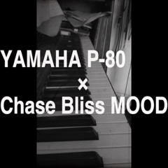 YAMAHA P-80 × Chase Bliss MOOD