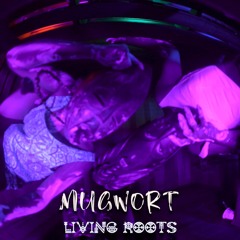 Mugwort