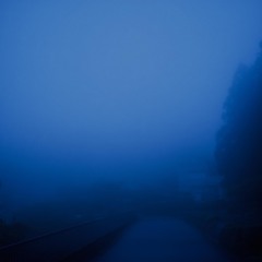 Lucidity