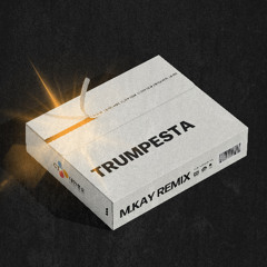M.KAY & B.A.S.E & Neo - Trumpesta (VIP remix)