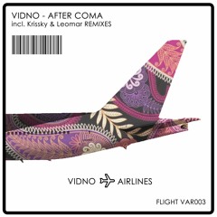 PREMIERE: Vidno - International [Vidno Airlines Records]